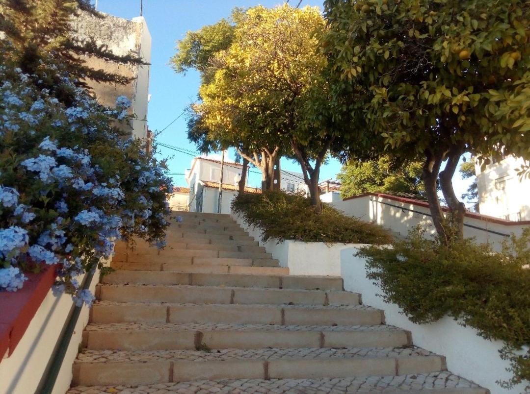 فيلا Casa Pelourinho سيلفيس المظهر الخارجي الصورة